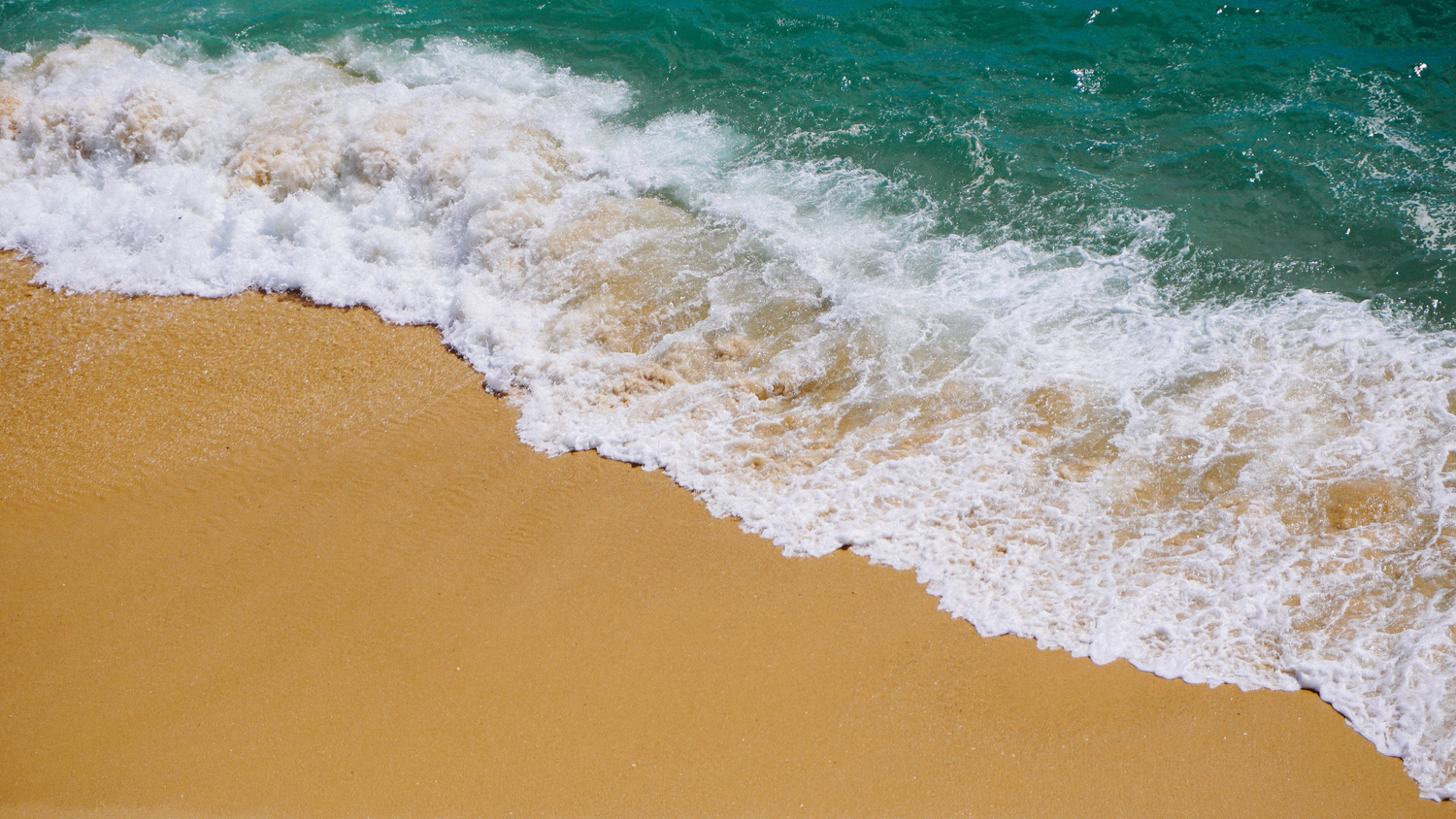 Ocean Collection