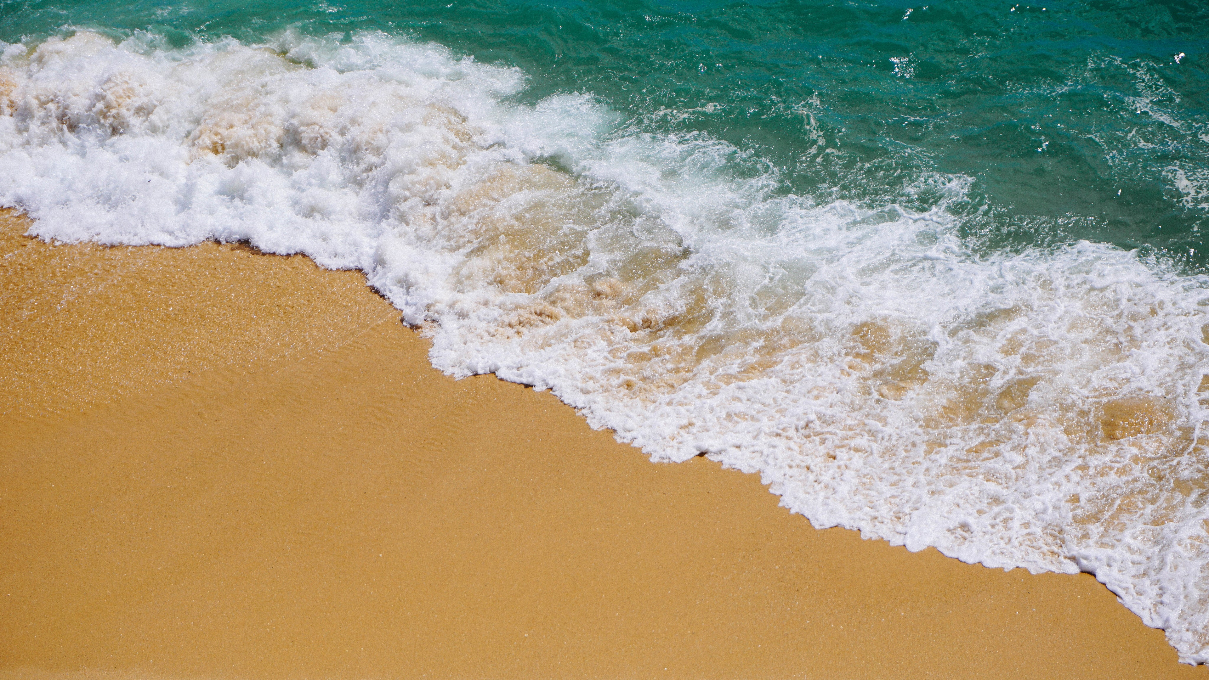 Ocean Collection
